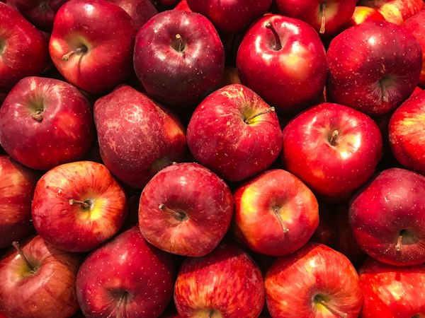 Red apples at Oak Creek Orchard