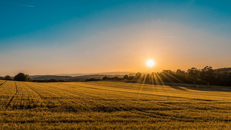 Summer sunset over farm